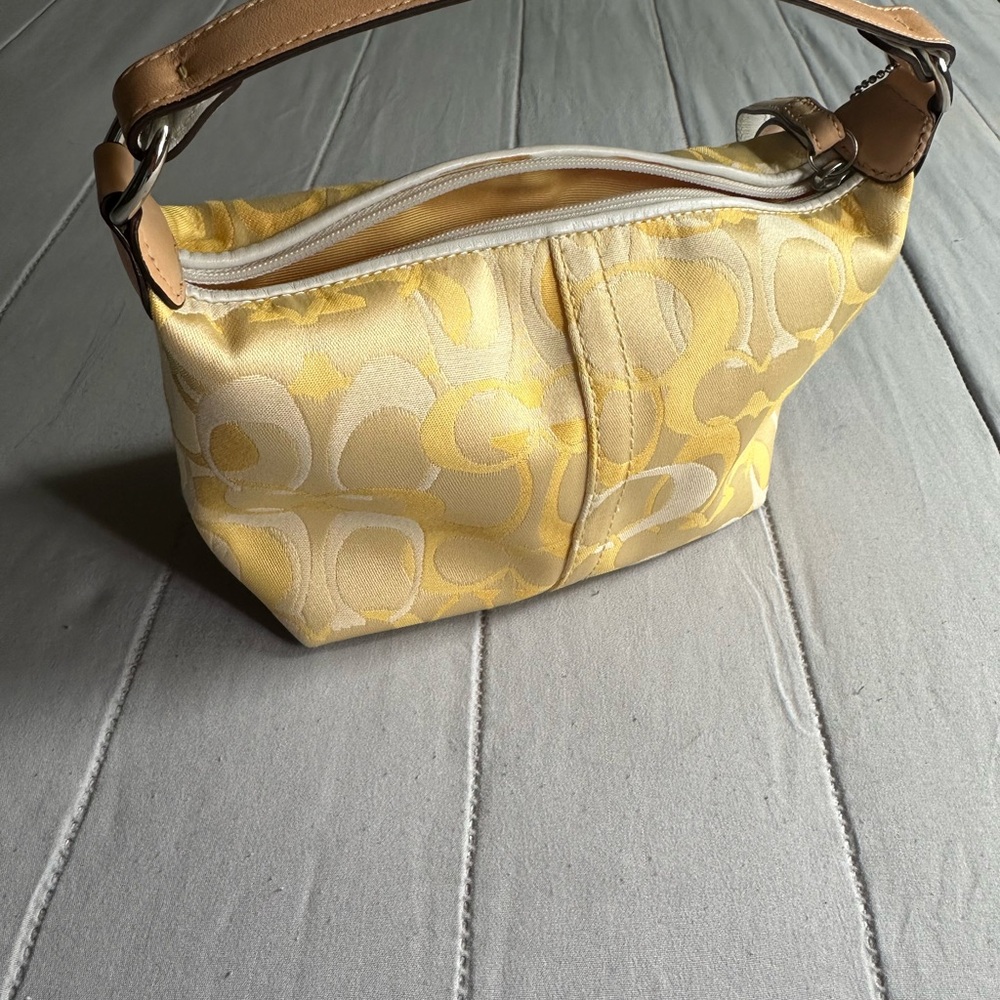 Coach small bag